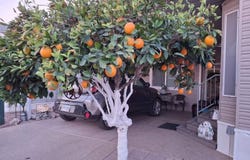 702 S. Meridian Rd., Apache Junction, AZ 85120