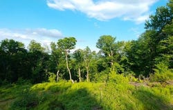 1 DRIFT Lane, Hyde Park, VT 05655