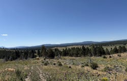 0 Mountain Trout Lane, Chiloquin, OR 97624