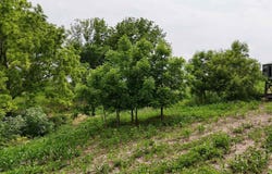 4456 115TH Street, Clinton, IA 52732