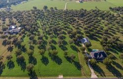 1917 Burkett Court, Cleburne, TX 76033