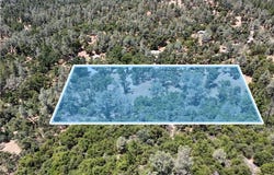 6528 Miller Ranch Road, Mountain Ranch, CA 95246