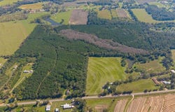 Willie Varnum Road, Cottonwood, AL 36301