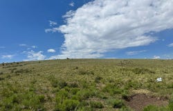 TBD Electric Ave, Westcliffe, CO 81252