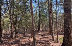 000 Wolf Trail, Moyers, OK 74557