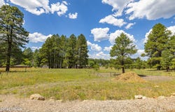 3464 Shoshone, Flagstaff, AZ 86005