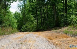 1203 county road 303, Princeton, AL 35654