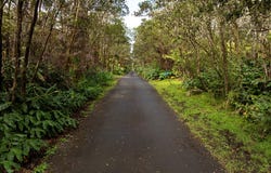 9TH ST, Volcano, HI 96785