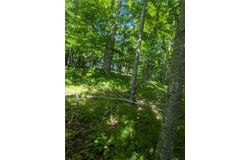 Lot 1 361st Street, Stanley, WI 54768