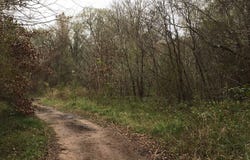 Big Creek, Shepherd, TX 77371
