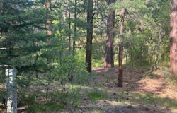 Tract B 266 Gallina Canyon Road, Valdez, NM 87580