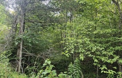 006 Tomahawk Slab Road, Saint Joe, AR 72675