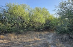 10241 E Speedway Boulevard, Tucson, AZ 85748
