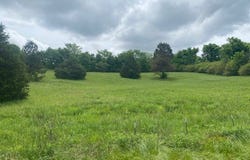 Peyton Road, COLDWATER, MS 38618