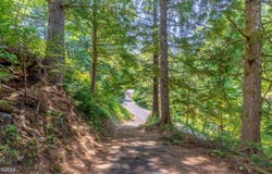 Lot 502 Beaver Pond Lane, Gleneden Beach, OR 97388