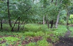 Six Mile Road, Whitmore Lake, MI 48189