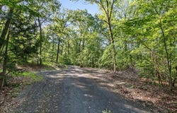 MOUNTAIN LAUREL DR, MOUNT JACKSON, VA 22842