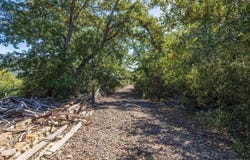 35929 N Peak Way unit: 17, Julian, CA 92036