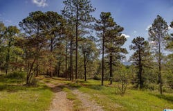 HILL TOP LANE lot: 1, LEEDS, AL 35094