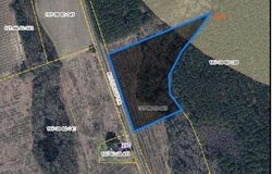 Tbd Buttercup Drive Lot 1, Ward, SC 29166