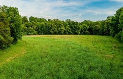 651 Fairview Road, Salvisa, KY 40372