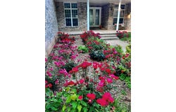 302 Madison 2500, Huntsville, AR 72740