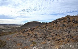 FM 170, Terlingua, TX 79852