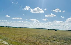 Tbd 201acres County Road 419, Rochelle, TX 76872