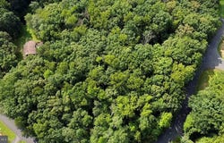 8815 CLINTON DRIVE, NOKESVILLE, VA 20181