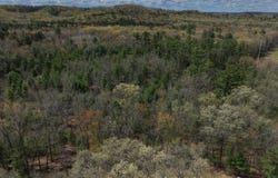 Lot 3 Grayling Avenue, Tomah, WI 54660
