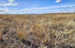 TBD Road 1W, Bushnell, NE 69128