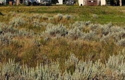 Hwy 212 E, Broadus, MT 59317