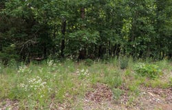 Summit Ridge Drive, Ozark Acres, AR 72482