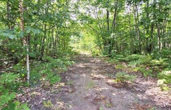 S Deer Run Rd, Kinross, MI 49752
