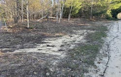 Forward, Lake City, MI 49651