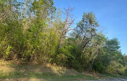 BERRY RD/HARBOR RD., Winfield, AL 35594
