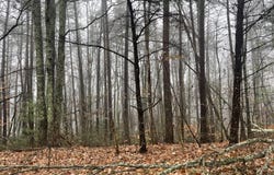 501 Browns Gap Road, Crossville, TN 38572
