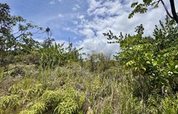 4TH AVE, Keaau, HI 96749