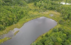 195 Bush Rd, Galboa, NY 12076