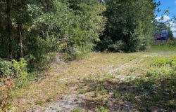 FL SR 20 Highway, Interlachen, FL 32148