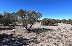 004a N N7204, St. Johns, AZ 85936