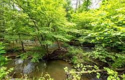 Lot 10 STAR TANNERY ROAD, STAR TANNERY, VA 22654