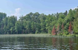 TBD Lake Vermilion N, Tower, MN 55790