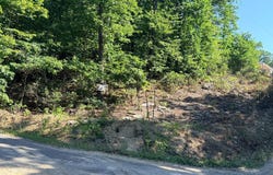 FOX Trail lot: 1, WINCHESTER, VA 22602