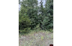 CR 868 lot: 23, Henderson, AR 72544