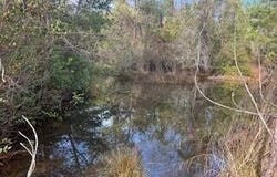 3365 Columbia Highway N, Ridge Spring, SC 29129