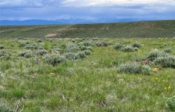 Tract 21 Steel Creek RD, Wisdom, MT 59761