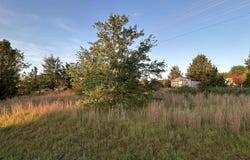 7631 Hwy 11, Campobello, SC 29322