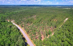 420 Acres Columbia Highway N, Ridge Spring, SC 29129