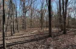 Highway H, Ellsinor, MO 63937